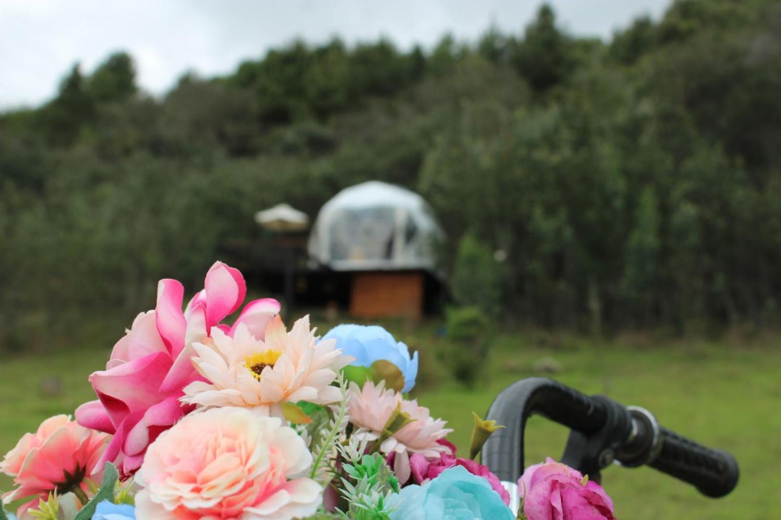 Glamping La Villa Guatavita Εξωτερικό φωτογραφία